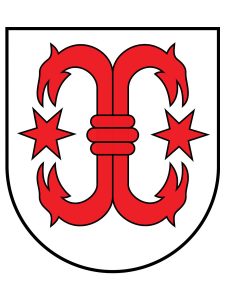 Mehr über den Artikel erfahren Dorfjubiläum